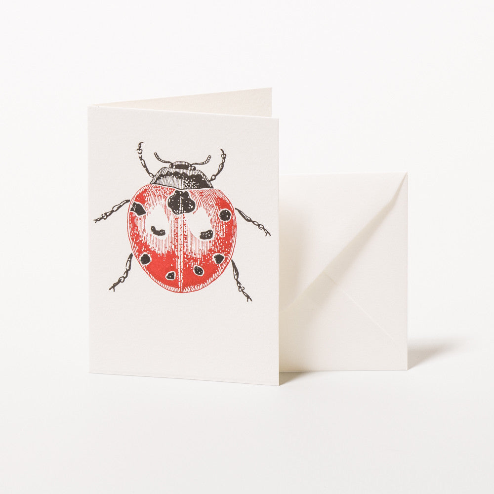 get-the-latest-in-sports-ladybird-gruskarte-online_1.jpg